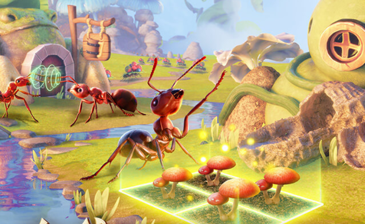 【福利活动】向往的蚂蚁生活-夏日篇