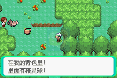 口袋妖怪 最强进化（中文版）