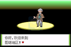 口袋妖怪 釉色（汉化版）