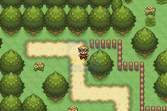 口袋妖怪 釉色（汉化版）