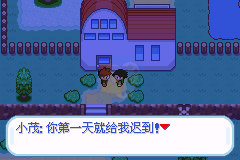 口袋妖怪 圣灰（中文版）