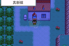 口袋妖怪 圣灰（中文版）