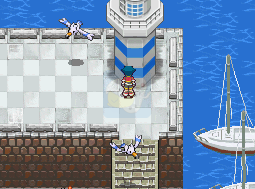 口袋妖怪 守护者（美版）