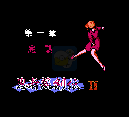 忍者龙剑传2（中文版）