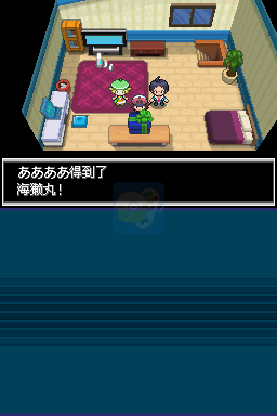 口袋妖怪白（汉化版）