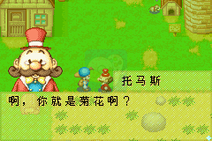 牧场物语矿石镇的伙伴们（2013完美汉化版）