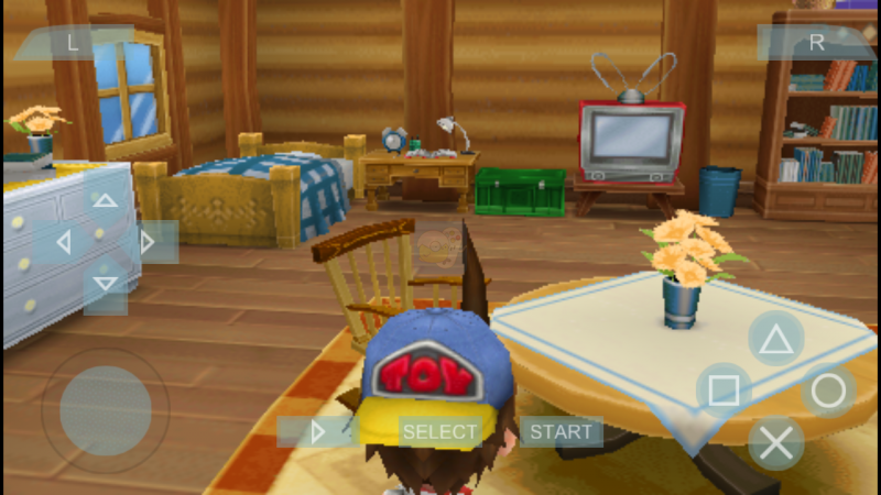 牧场物语 蜜糖村（汉化版）