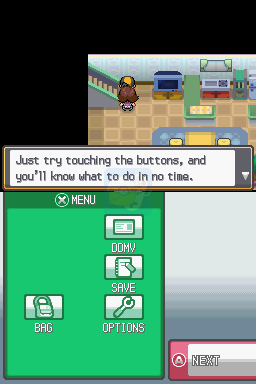 口袋妖怪 心金（欧版）