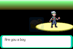 口袋妖怪 绿宝石（欧版）