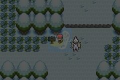 口袋妖怪最强进化3.0（中文版）