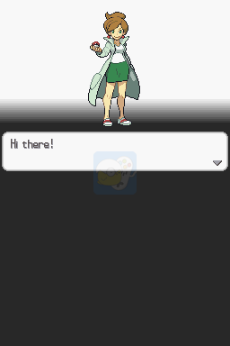 口袋妖怪 白（美版）