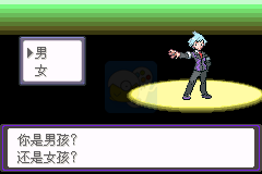 口袋妖怪漆黑的魅影6.0FJ洁白无限魅力（中文版）