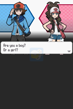 口袋妖怪 黑（美版）