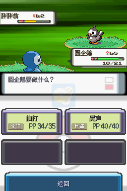 口袋妖怪 钻石（汉化版）