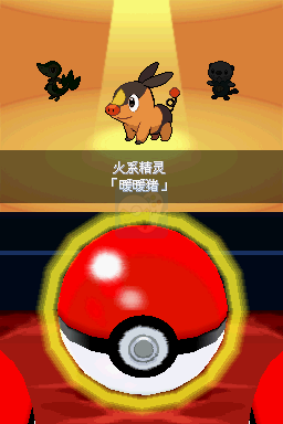 口袋妖怪黑（汉化版）