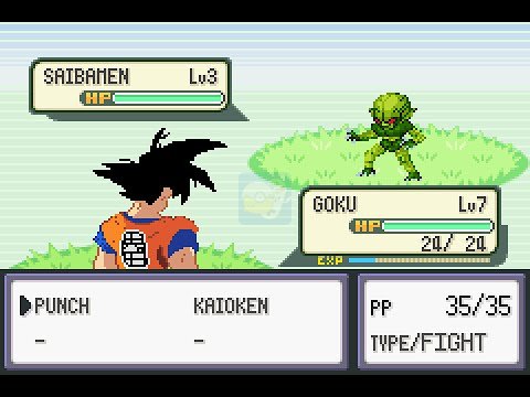 口袋妖怪 龙珠版（英文版）