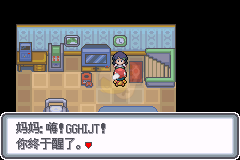 口袋妖怪 白金光（汉化版）