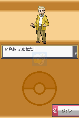 口袋妖怪 心金（日版）