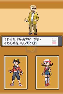 口袋妖怪 心金（日版）