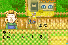 牧场物语矿石镇的伙伴们女孩篇（2014完美汉化版）