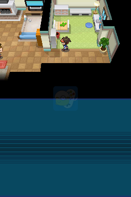 口袋妖怪 黑2（美版）