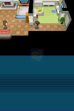 口袋妖怪 黑2（美版）