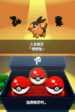 口袋妖怪 爆焰黑（汉化版）