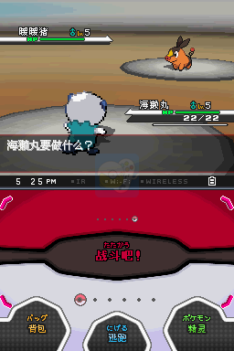 口袋妖怪 爆焰黑（汉化版）