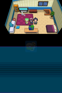 口袋妖怪黑（汉化版）