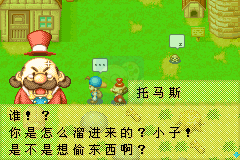 牧场物语 矿石镇的伙伴们（Cgp&Emucn简体汉化版）