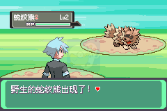 口袋妖怪 mega进化版（中文版）