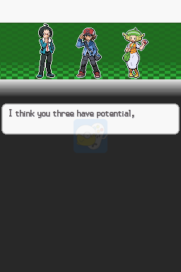 口袋妖怪 白（美版）