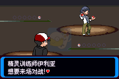 口袋妖怪 决心（中文版）