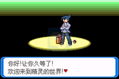 口袋妖怪 决心（中文版）