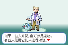 口袋妖怪 圣灰（中文版）