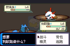 口袋妖怪 决心（中文版）