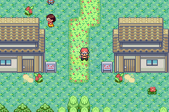 口袋妖怪命运红宝石 统治的传说（美版）