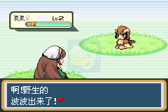 口袋妖怪火红翠星石版（汉化版）