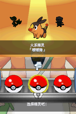 口袋妖怪梦之黑2（中文版）