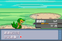 口袋妖怪 进击之旅（中文版）