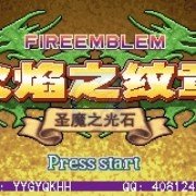 火焰纹章 黑暗无双（中文版）