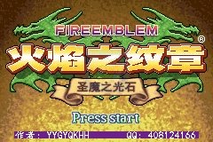 火焰纹章 黑暗无双（中文版）