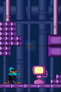 华纳群星总动员 达菲鸭（美版）