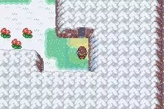 口袋妖怪 织女星（汉化版）