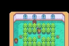 口袋妖怪 织女星（汉化版）