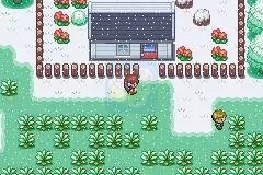 口袋妖怪 织女星（汉化版）