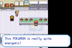 口袋妖怪 吾之尻（美版）