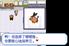 口袋妖怪 圣光白（中文版）