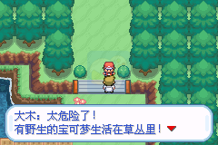 口袋妖怪 圣光白（中文版）