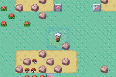 口袋妖怪 蛇纹木（汉化版）